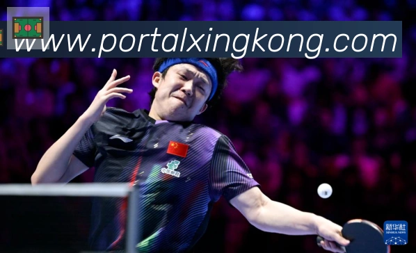 星空体育官网入口APP 体育赛事宣传图