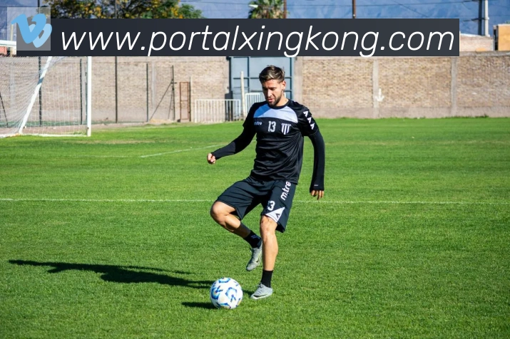 星空体育官网入口荣誉