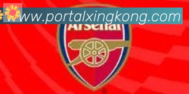 星空体育官网入口合作伙伴